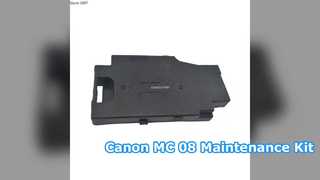 Ink Maintenance Kit WorkForce WF-100 T2950 T295000